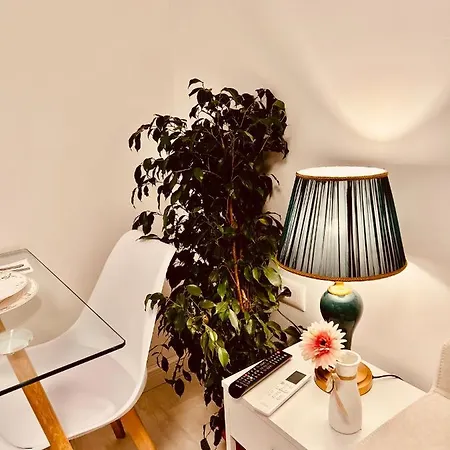 Apartman Leo's View